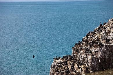开发者分享《死亡空间：重制版》全新武器细节